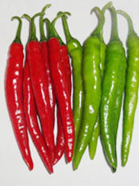 chilli