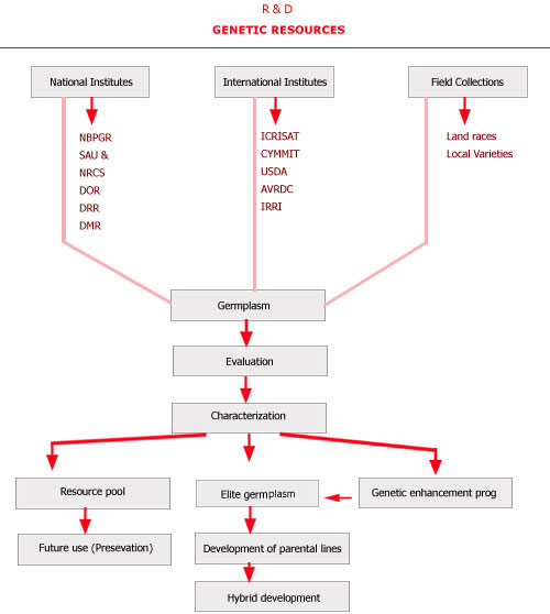 genetic-resources-flowchart